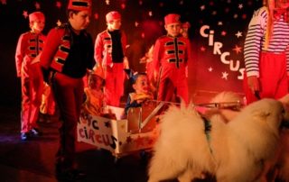 Compagnie Pas à Pas