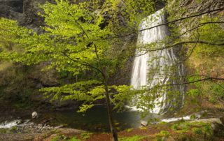 Péreyres - Le Ray-Pic-automne-2