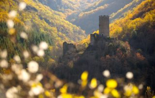 Barnas - Château de Chadenac ©S.BUGNON