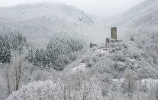 Barnas - Château de Chadenac-2 ©S.BUGNON