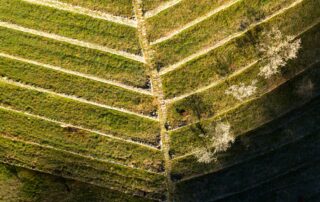 Saint-Pierre-de-Colombier - Terrasses d'Aulureyres ©S.BUGNON