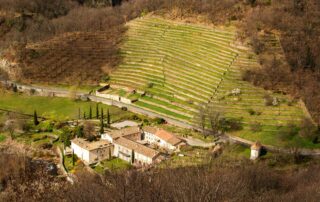 St-Pierre-de-Colombier - Terrasses d'Aulureyres-2 ©S.BUGNON