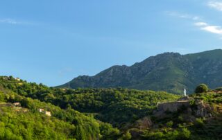Saint-Pierre-de-Colombier - Vue générale-zoom statue de la vierge ©S.BUGNON