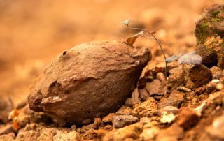 Meyras - Bombe volcanique au Souilhol ©S.BUGNON