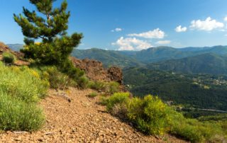 Jaujac - Sommet du volcan du Souilhol-2-carré ©S.BUGNON