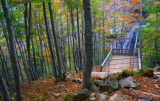 20190926-Péreyres- Sortie Ray Pic ©Maëva Lopez (47)