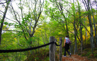 20190926-Péreyres- Sortie Ray Pic ©Maëva Lopez (42)