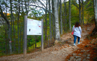 20190926-Péreyres- Sortie Ray Pic ©Maëva Lopez (23)