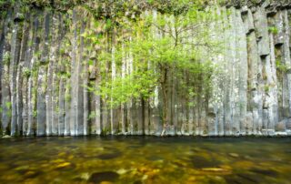 Fabras - Orgues basaltiques dans la vallée du Lignon-2 ©S.BUGNON
