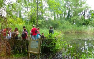 Jaujac - Mare aux libellules et visiteurs PNR ©OTASV