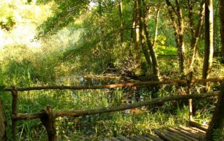 Jaujac - Mare aux libellules ©OTASV