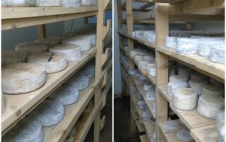 La Bergerie de l'Adreyt